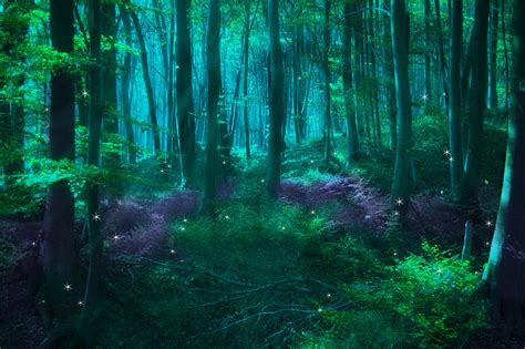 Unveiling the Secrets of the Magical Forest on Halloween Night